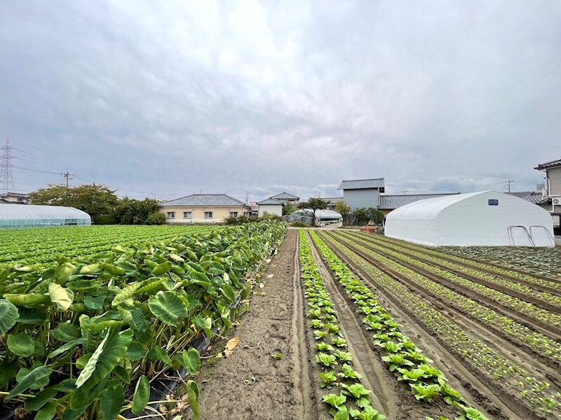 藤花（TOUKA）の物件内観写真