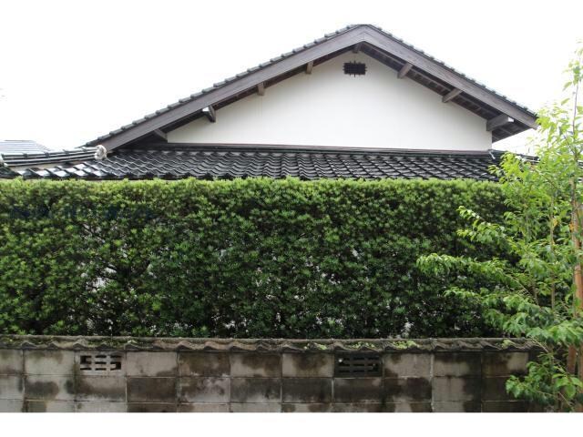 グレースコート出雲の物件内観写真