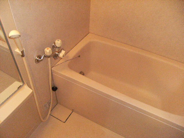 ダイヤモンドマンション2号館（熊谷市中西）の物件内観写真