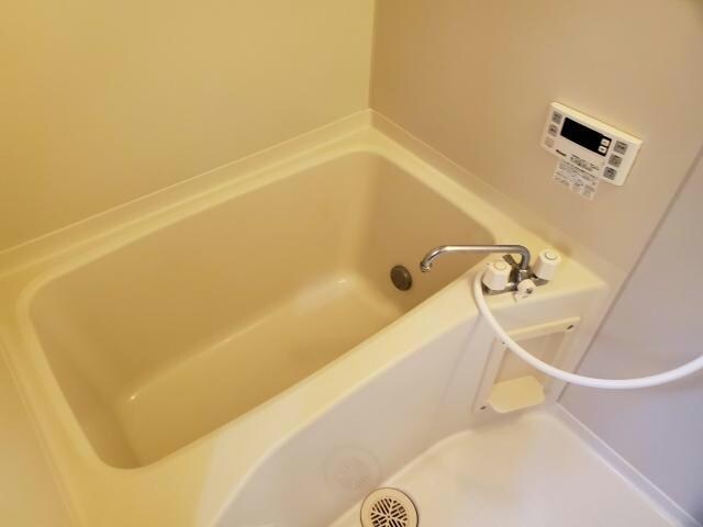 フェリス上柴（深谷市上柴町西）の物件内観写真