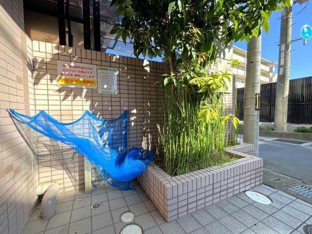 マ・メゾン向陽の物件外観写真