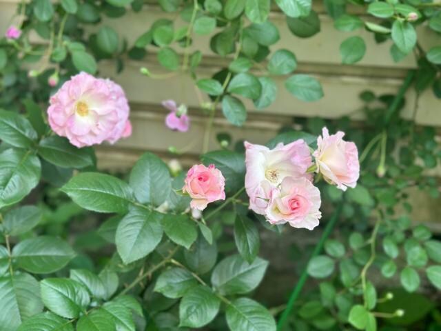 浜松駅 バス6分  鹿谷町南下車：停歩4分 1階の物件内観写真