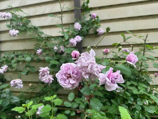 浜松駅 バス6分  鹿谷町南下車：停歩4分 1階の物件内観写真
