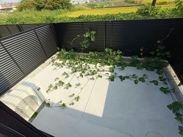 Woodstock Nestの物件内観写真