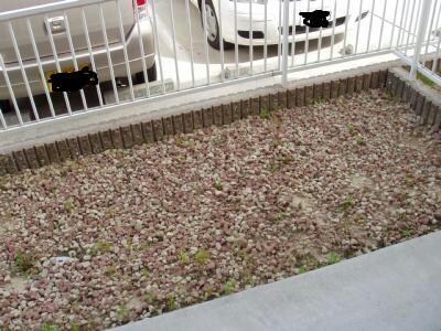 ヨーロピアンシャレー住吉の物件内観写真