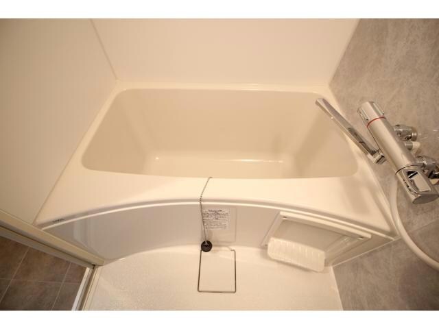 S-RESIDENCE安城adorableの物件内観写真