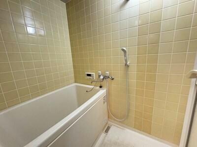 ＳＯＬＥ善明の物件内観写真