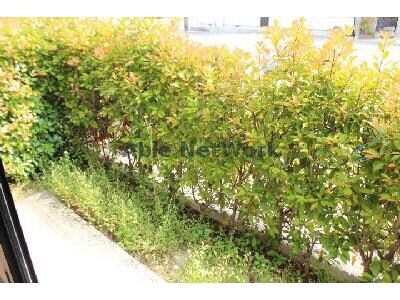 ハートホーム八ッ橋Ｂの物件内観写真