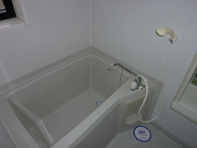 アリューリュ・リーザーⅡの物件内観写真