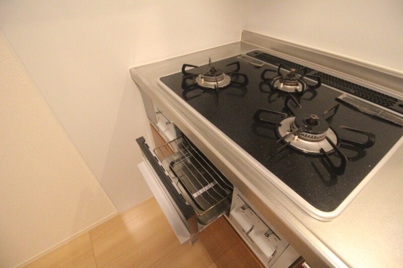 サウスアヴェニューの物件内観写真