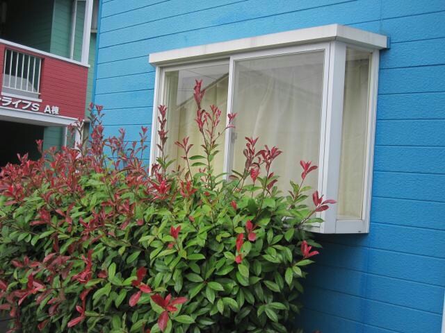 サンライフS　B棟の物件内観写真