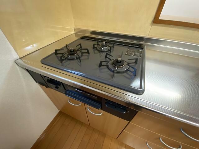 メゾンエキサイトシーガルの物件内観写真