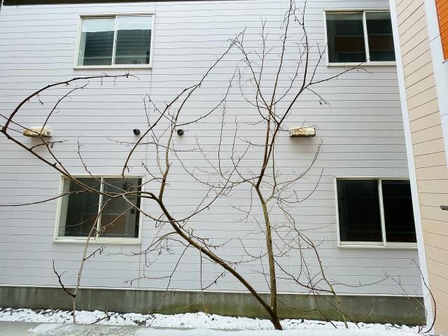 人見ハイツの物件内観写真