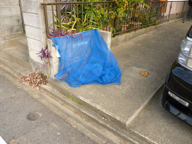 須ケ口駅 徒歩10分 2階の物件外観写真
