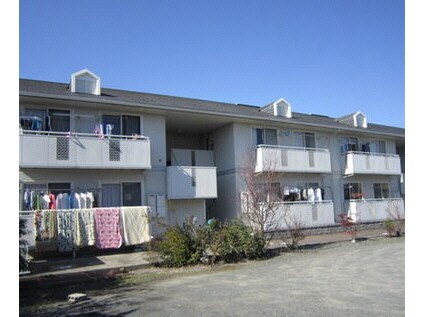 七宝駅 徒歩8分 1階の物件外観写真