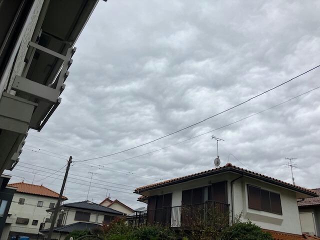 ベイヒルズの物件内観写真