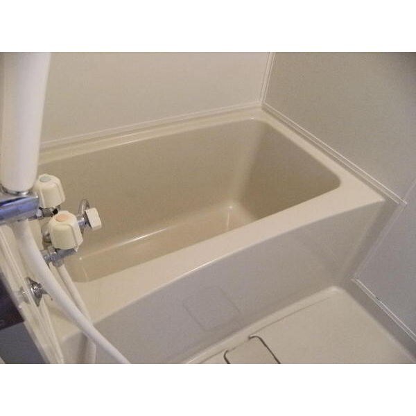 元町駅 徒歩12分 3階の物件内観写真