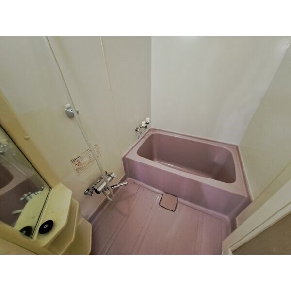 白石駅 徒歩18分 2階の物件内観写真