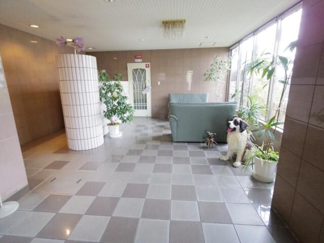 新大宮駅 徒歩18分 6階の物件外観写真