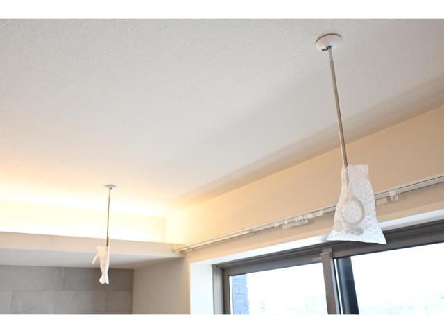 奈良駅 徒歩5分 1階の物件内観写真