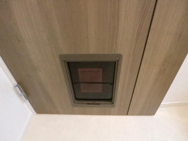 木津駅 徒歩20分 2階の物件内観写真