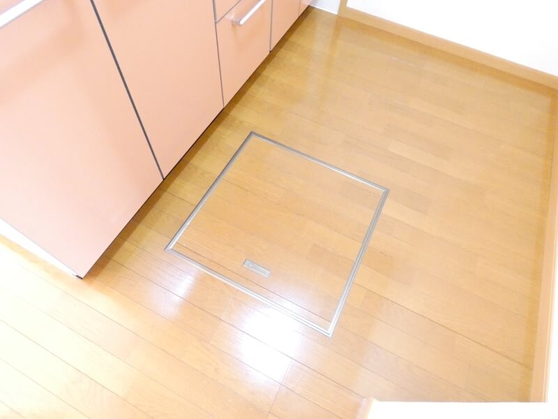 メゾンＦナイヤガラIIの物件内観写真