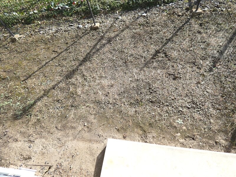 シャローム本郷B・Cの物件内観写真