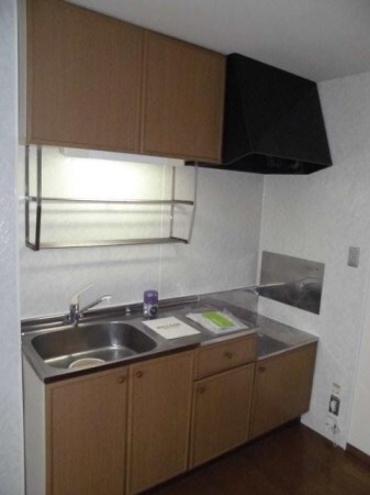 ハイカムール・城の物件内観写真