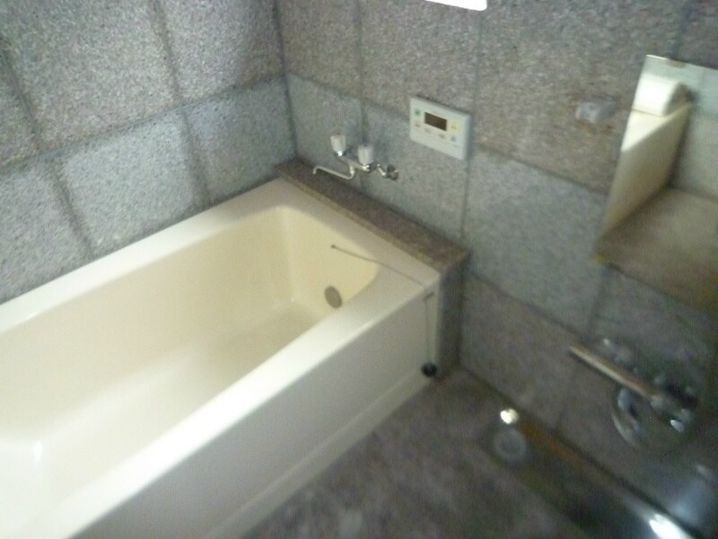 ナトゥーア明IIの物件内観写真