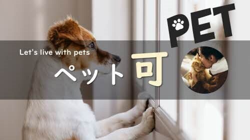 カルムメゾンの物件内観写真