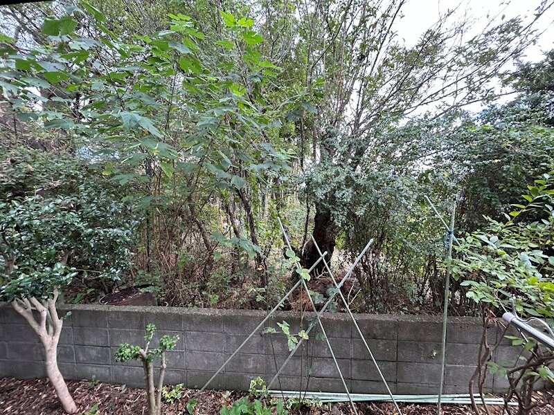 宮渕本村貸家の物件内観写真