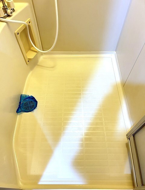 カメリアガーデンの物件内観写真