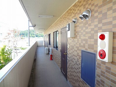 島内駅 徒歩9分 2階の物件内観写真