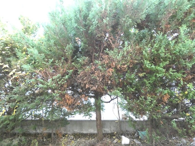 サンハイツ手塚の物件内観写真