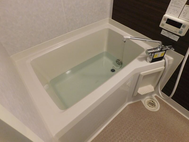 ディアスのみぞBの物件内観写真