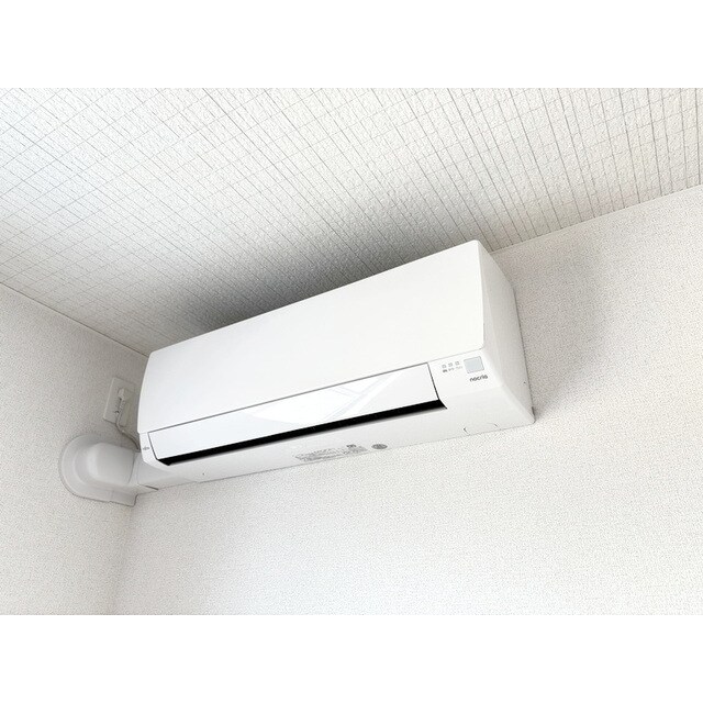 プリムラ・ヤスエの物件内観写真