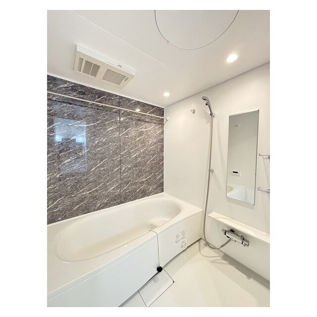 ヒカルサ水戸石川サウスの物件内観写真