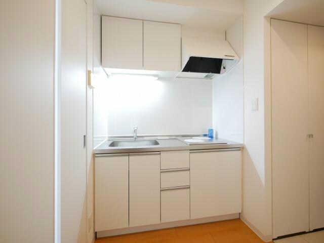 ラフィネタワー札幌南３条の物件内観写真