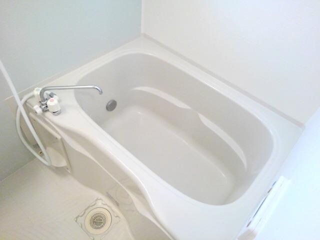 フォーシーズンの物件内観写真