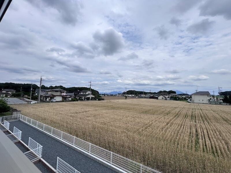 Blueberry　Bの物件内観写真