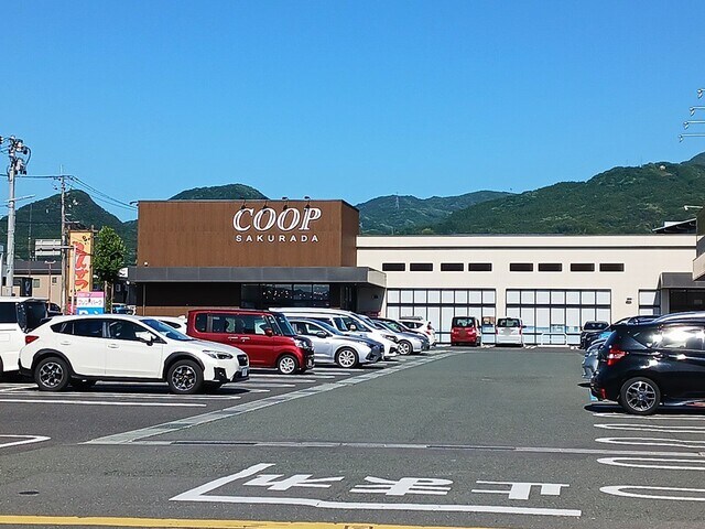 サンフローラ・グレースの物件内観写真