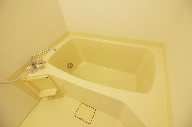 リーラ・コートの物件内観写真