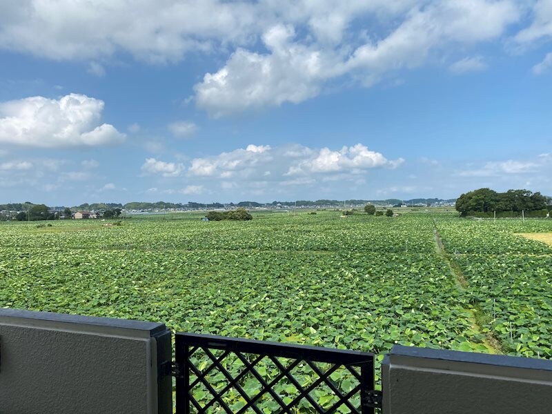 レイクサイド･ウィステリアの物件内観写真