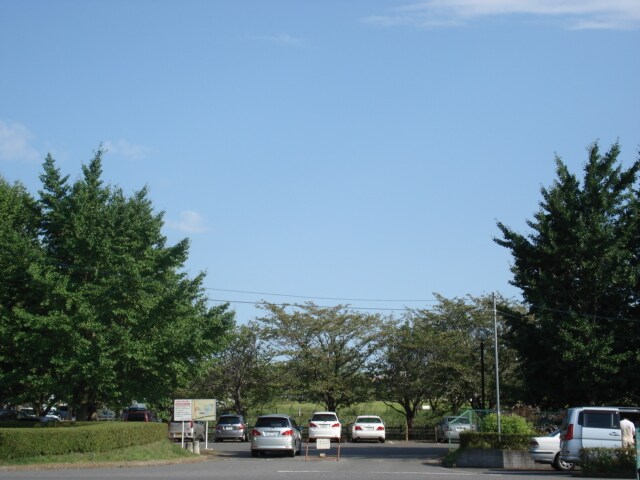 Prendre Sophia（プランドールソフィア）の物件内観写真