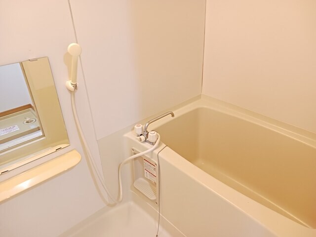 ニューシティＹＡＮＡＫＡの物件内観写真