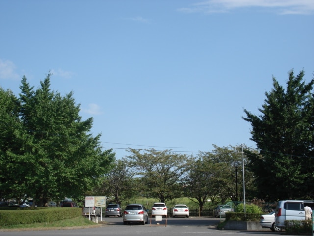 Avenir（アヴェニール）の物件内観写真