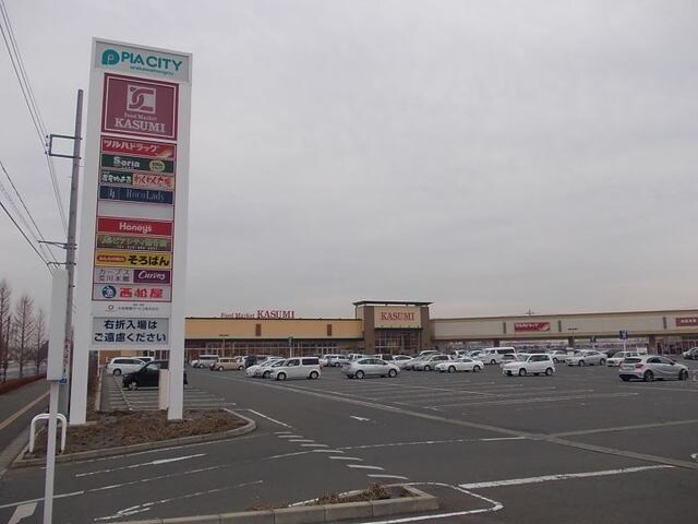 エムズ　サニーガーデンIIの物件内観写真