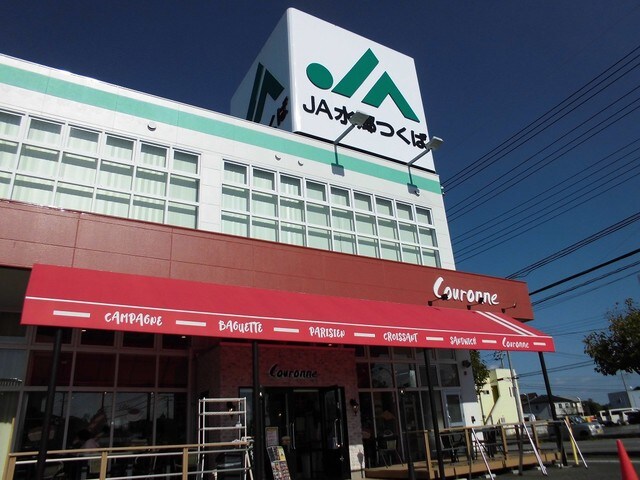 リバティ　１５　Ｃの物件内観写真