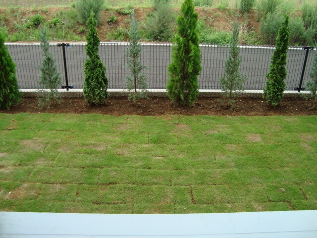 ゴールドクローバー（GOLD　CLOVER）の物件内観写真