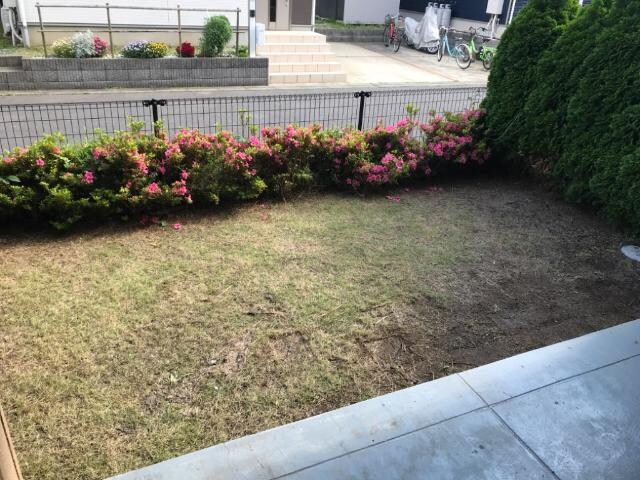 スカイバレーの物件内観写真